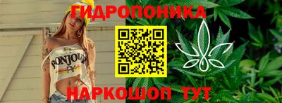 крисы Ивантеевка