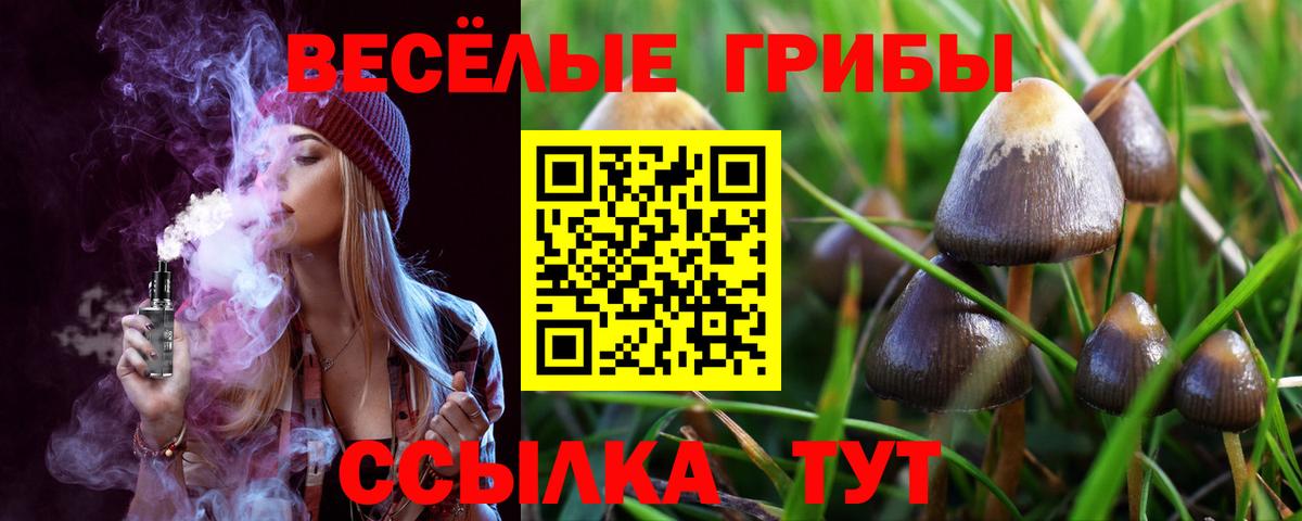 Галлюциногенные грибы Cubensis Орск