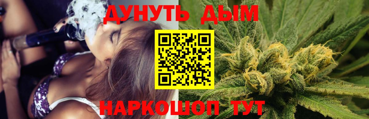 Бошки марихуана Amnesia  МАРИХУАНА план  Орск  Вход с VPN 